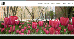 Desktop Screenshot of downtownbrooklyn.com